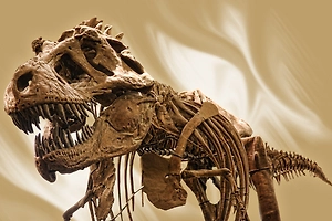 Владелец девяти квартир из Китая попался полиции со скелетами динозавров на $15,6 млн