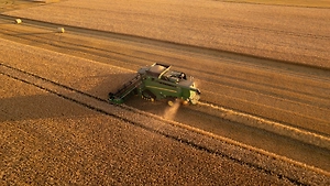 «Её время ушло»: В МИД России высказались о судьбе зерновой сделки