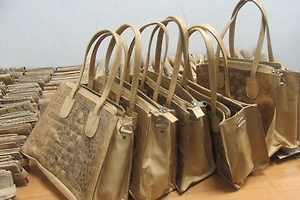 Ввоз контрабанды из кожи редких рептилий на 2 млн пресекли таможенники в Казани