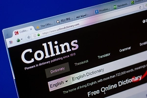 Британский словарь Collins выбрал слово 2025 года, но его мало кто знает