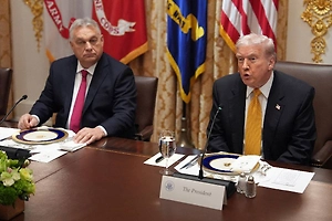 В США объяснили, почему встреча Трампа и Орбана стала чёрной меткой для Зеленского