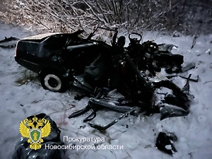 По факту ДТП с шестью погибшими в Новосибирской области возбуждено дело