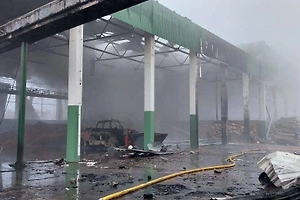 На Украине повреждена первая в стране ТЭЦ, работающая на биомассе