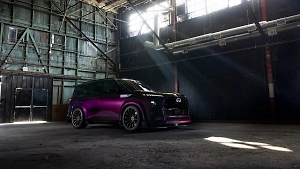 Ушлая россиянка в парике развела салон по аренде машин в США, продав их авто за 3 млн рублей