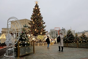 Life.ru узнал, как закупка продуктов на Новый год в два этапа экономит бюджет