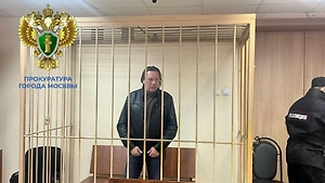 Деда приговорили к 17 годам строгого режима за убийство 2-летнего внука в Москве