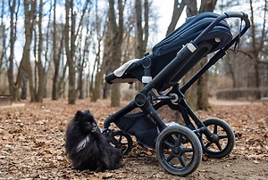 Частные клиники 14 регионов РФ добровольно отказались проводить аборты