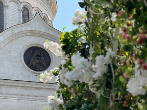 Уверовавшие зумеры стали чаще венчаться в церкви
