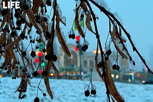 Москва проснулась под белым покрывалом — фоторепортаж Life.ru