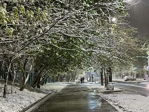  Около трети от месячной нормы осадков ноября выпало за ночь в Москве