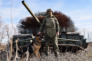 Армия Россия освободила Яблоково в Запорожье