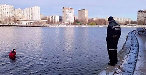 Life.ru публикует первое видео из Гольяново, где нашли рюкзак с головой мальчика