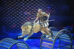 «IQ как у хлебушка»: Запашный назвал словом из 5 букв автора идеи отменить украинских котов за русское «мяу»