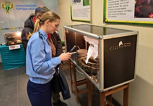 Москвич устроил незаконную выставку из редких животных, занесённых в Красную книгу России