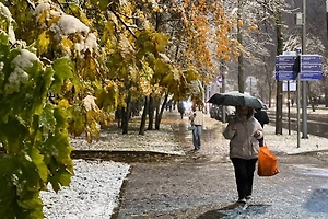 Эколог назвал ноябрьское потепление в Москве губительным для природы