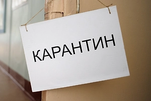 Вспышка бешенства зафиксирована в московском Щукине, объявлен карантин