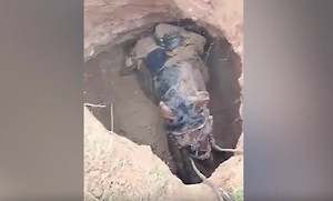 «Портал в прошлое»: Лошадь провалилась в склеп времён Золотой Орды в Прикаспии