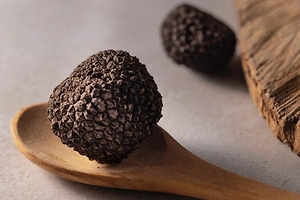 Самый дорогой в мире вид трюфеля нашли на Кубани