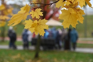 До конца недели на большей части России будет тёплая погода