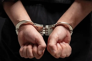 Богородский маньяк не признался в убийстве девушек, которых он звал работать няней