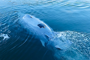 В Германии испытали подводный дрон-акулу для выслеживания диверсантов