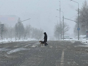 Зима ударит по столице: Вильфанд раскрыл, каких сюрпризов ждать москвичам от погоды