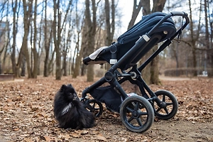Ячейка общества с червоточинами: Психолог советует не портить семейную жизнь унизительным ДНК-тестом в роддоме