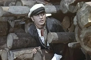 Россиянам советуют искать защиты от «бабушкиной схемы» в мудрости из «12 стульев»