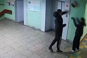 Петербуржцу, швырнувшему маленькую собаку об стену, дали 15 суток ареста