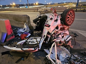 Пьяная москвичка устроила ужасное ДТП и погубила свою собаку, пытаясь сбежать от полиции