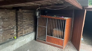 Изнасилования, пытки и побои: Стали известны шокирующие детали о рехабе «Антонов PRO» в Видном