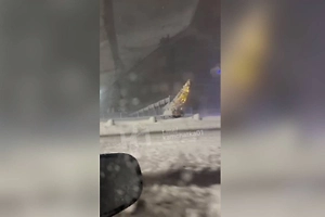 Украшенная ёлка в Петропавловске-Камчатском чудом устояла под натиском сильного ветра