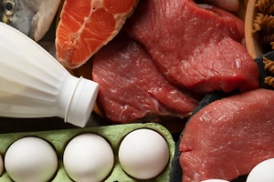 Популярная у россиян диета Дюкана грозит бесплодием, предупредили врачи