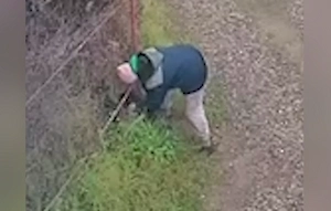 Перекрестилась и ушла: В СНТ в Татарстане продолжают плодить бездомных собак, несмотря на трагедию