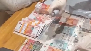 В Петербурге накрыли ОПГ, зарабатывавшую миллионы на подделке налоговых бумаг
