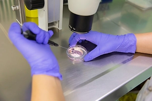 Мурашко объявил о победе над очередями на ЭКО в России