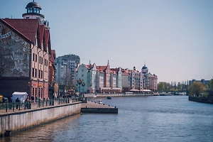 В Калининградской области ущерб от коррупции вырос в пять раз за год