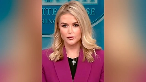 Задержанную в США родственницу Левитт отпустят под залог