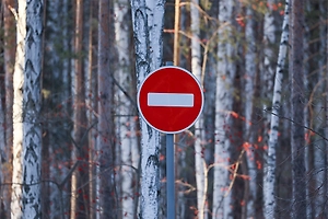 Госдума запретила практику сплошных рубок в центральной зоне Байкала