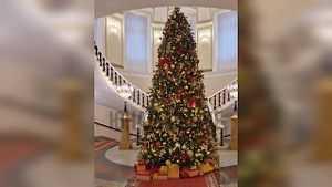 В президентском корпусе Кремля поставили ёлку