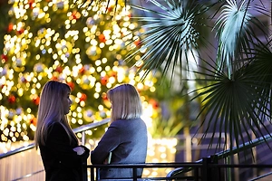 Краснодарский край примет более 500 тысяч туристов на новогодних праздниках