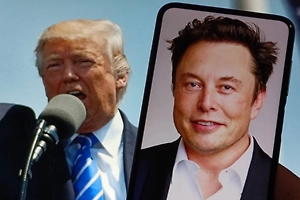 Политолог оценил шансы ЕС и НАТО выжить под натиском Трампа и Маска