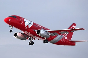 Рейс Red Wings из Екатеринбурга экстренно сел в Омске из-за неполадки