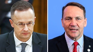 Сийярто обрушился на Сикорского за выпад в сторону России