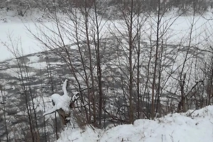 В Башкирии более двухсот баранов провалились под лёд из-за пастуха