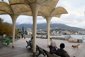 В Крыму национализировали имущество боксёра Александра Усика