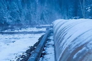 Четверо подростков задержаны за попытку теракта на «Дружбе» под Липецком