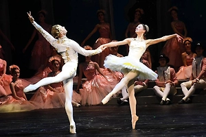 Билеты на «Щелкунчика» в Большом театре на аукционе ушли за полмиллиона рублей