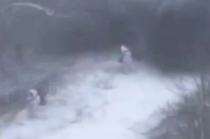 «Родился в рубашке»: Российский боец чудом выжил после прямого попадания дрона ВСУ и попал на видео
