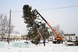 Администрация города в Сибири «оживила» новогоднюю ёлку ветками от других деревьев